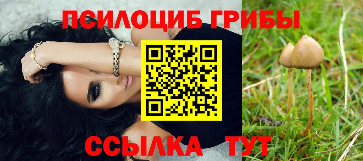 Галлюциногенные грибы MAGIC MUSHROOMS  Псилоцибиновые грибы ЛСД  Тольятти  Вход с VPN 