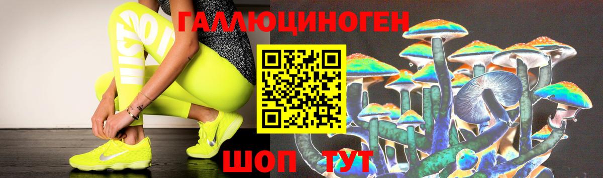 Псилоцибиновые грибы Psilocybine cubensis  Псилоцибиновые грибы ЛСД  Тольятти 